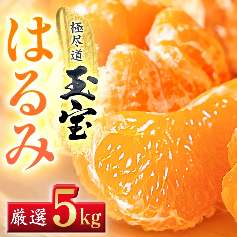 【先行受付】【果粒の旨み】ぷちぷち食感【はるみ】5kg　愛媛県産【64-98】YWTY095