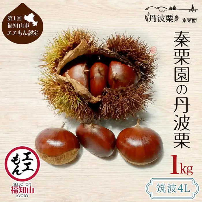 栗 くり 丹波栗 筑波 4L 1kg