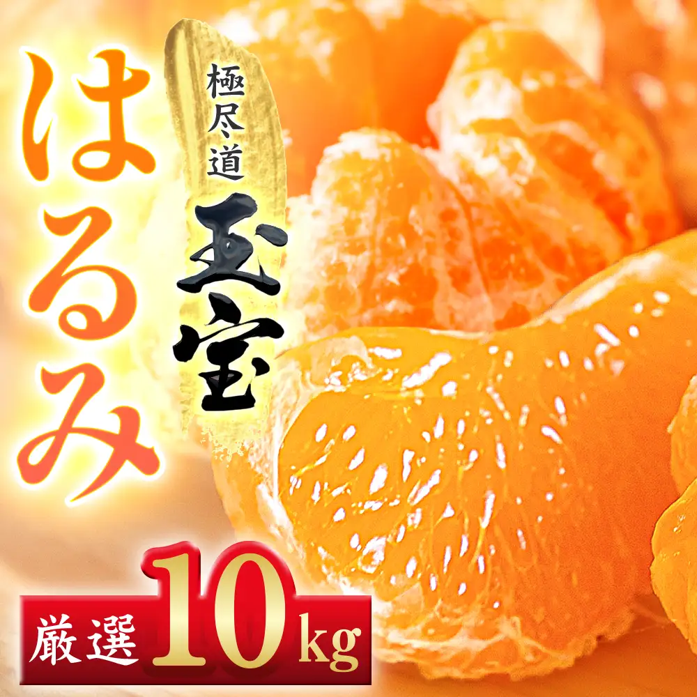 【先行受付】【果粒の旨み】ぷちぷち食感【はるみ】10kg　愛媛県産【64-97】YWTY096