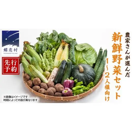 【 2026年 8月上旬 発送開始 】キャベツ 入り！農家さんが選んだ 新鮮 高原 野菜 セット 1～2人様向け 先行予約  キャベツ 群馬 野菜 セット 産地直送 詰め合わせ アソート 期間限定 少量 [AN001tu]