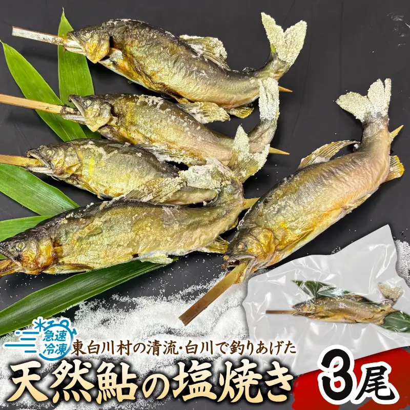 清流白川 天然鮎塩焼き 3尾 冷凍 鮎 あゆ アユ 川魚 焼き魚 炭火焼 塩焼き 清流 魚介 和食 おかず おつまみ グルメ 食品 川釣り 冷凍 急速冷凍 真空パック レンチン 簡単 お手軽 岐阜県産 東白川村