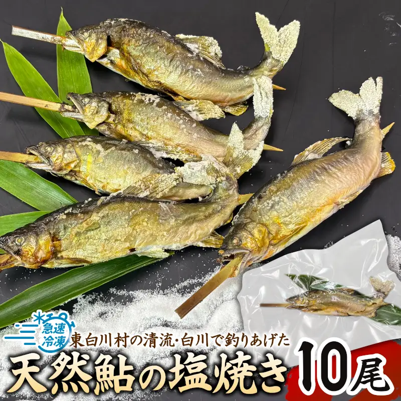 清流白川 天然鮎塩焼き 10尾 冷凍 鮎 あゆ アユ 川魚 焼き魚 炭火焼 塩焼き 清流 魚介 和食 おかず おつまみ グルメ 食品 川釣り 冷凍 急速冷凍 真空パック レンチン 簡単 お手軽 岐阜県産 東白川村