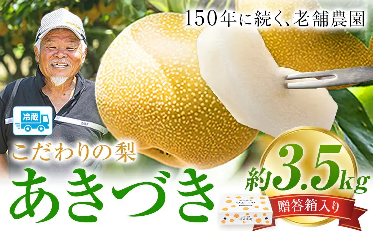梨 贈答用 あきづき 約3.5kg 梨 熊本