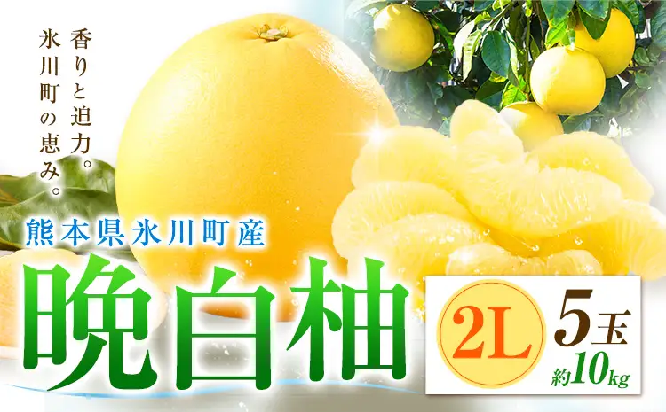 柑橘 晩白柚 2L 5玉 10kg 日本フルーツ株式会社
