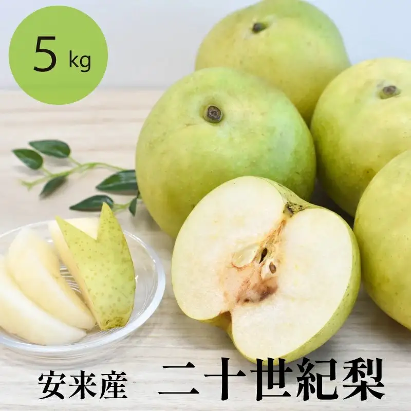 二十世紀梨 5kg【先行受付 2026年 発送 梨 なし ナシ 20世紀 美味しい みずみずしい 期間限定 先行予約】【23-JY-03】