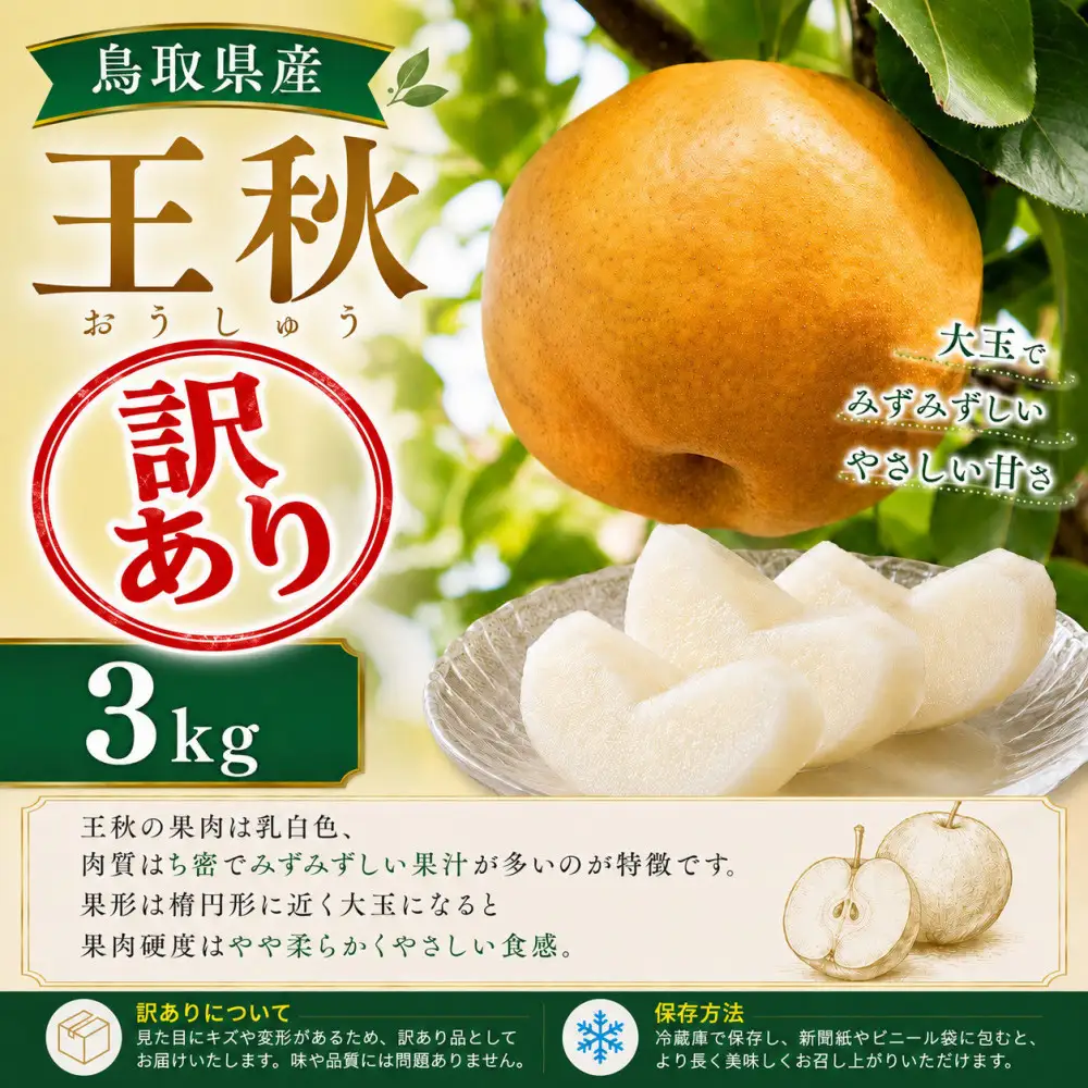 【訳あり】山根農園 王秋 3kg【2026年10月以降発送】