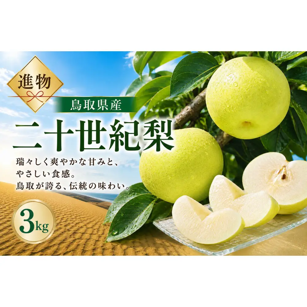 山根農園 二十世紀梨 3kg【2026年8月下旬以降発送】