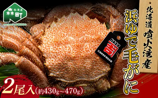 【北海道 噴火湾産】 浜ゆで毛がに 2尾 約430g～470g＜カネキチ澤田水産＞ かに カニ 蟹 ガニ がに 森町 ふるさと納税 北海道 毛蟹 毛かに 毛ガニ 毛カニ mr1-1478
