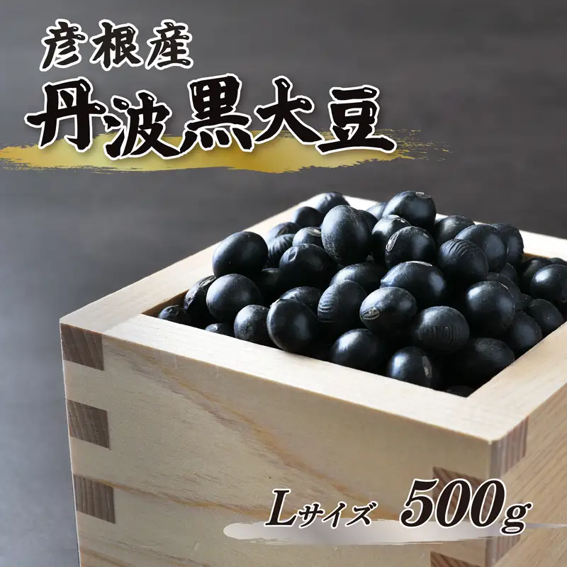 【予約受付】 令和8年産 彦根産 丹波黒大豆 丹波黒 500g Lサイズ 中粒 黒豆 くろまめ 正月 おせち 滋賀 彦根