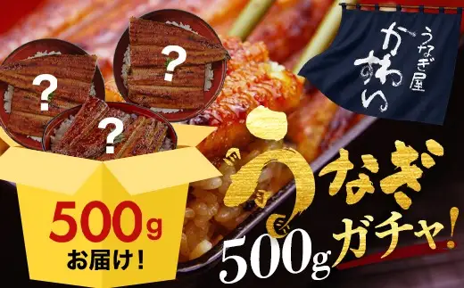 国産 うなぎ 蒲焼き ガチャ 福袋 500g入 うなぎ 鰻 (B1154-1)