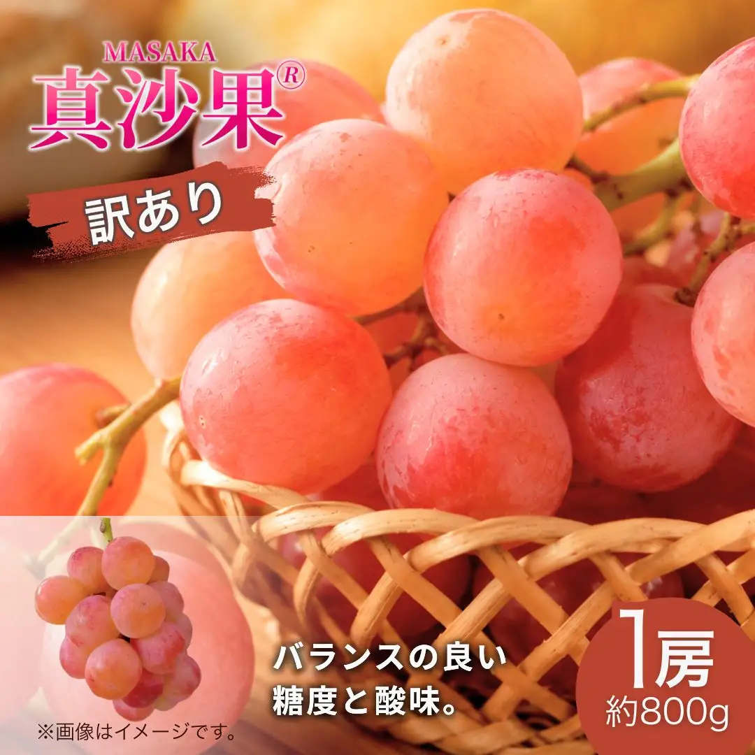 【2026年先行予約】訳あり 真沙果®︎まさか (約800g)1房 | 果物 フルーツ 赤ぶどう 葡萄 ブドウ 種無し 種なし 皮ごと 千曲市 長野県 信州 11,250円