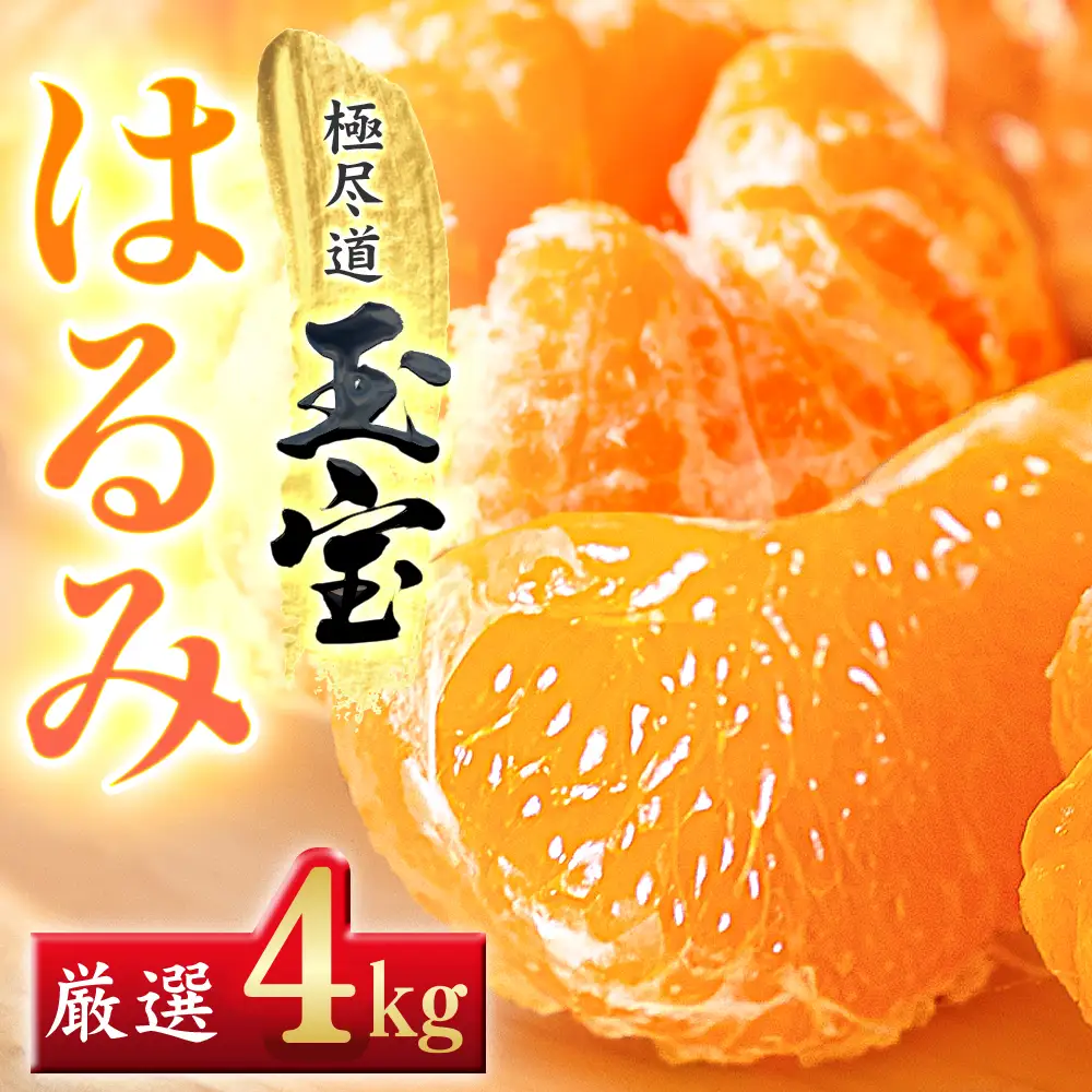 【先行受付】【果粒の旨み】ぷちぷち食感【はるみ】4kg　愛媛県産【64-99】YWTY094