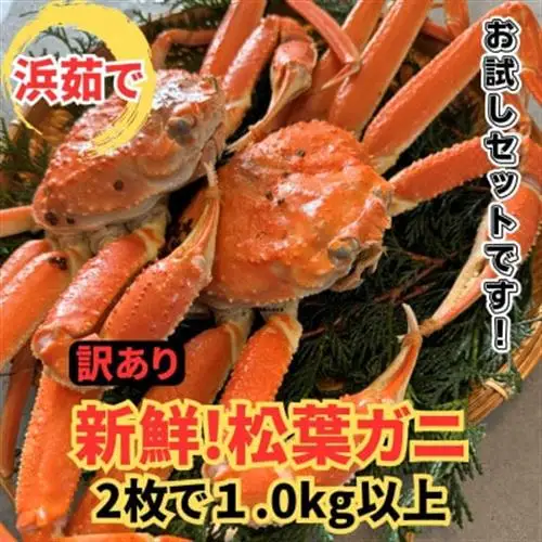 【さかなや新鮮組】鳥取県産 訳あり 浜茹で松葉ガニ1.0kgセット ご家庭用 漁港直送【配送不可地域：離島・北海道・沖縄県・東北・信越、北陸】【1759406】