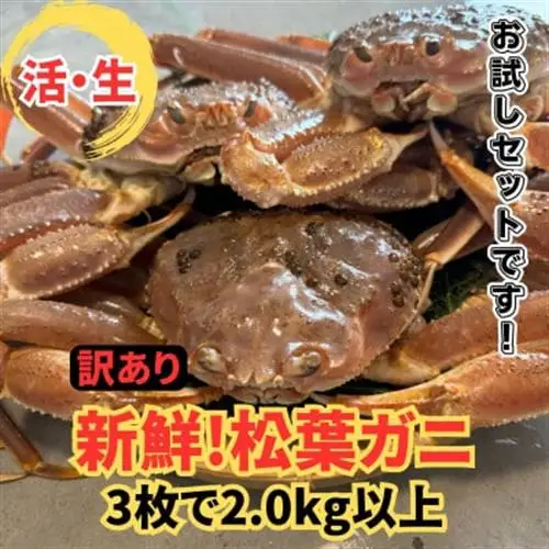 【さかなや新鮮組】鳥取県産 訳あり 活松葉ガニ2.0kgセット ご家庭用 漁港直送【配送不可地域：離島・北海道・沖縄県・東北・信越、北陸】【1759407】