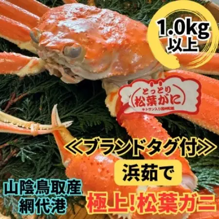 【さかなや新鮮組】鳥取県産 ブランドタグ付き 浜茹で 極上松葉ガニ(1.0kg以上) 1枚【配送不可地域：離島・北海道・沖縄県・東北・信越、北陸】【1759411】