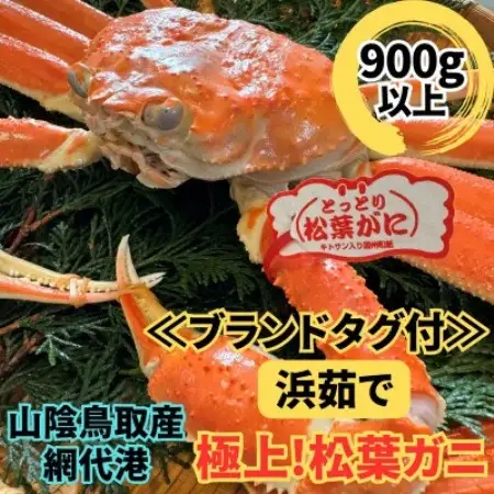 さかなや新鮮組】鳥取県産 ブランドタグ付き 浜茹で 極上松葉ガニ(900g