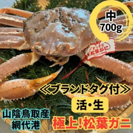【さかなや新鮮組】鳥取県産 ブランドタグ付き 活松葉ガニ(中)700g以上 1枚 漁港直送【配送不可地域：離島・北海道・沖縄県・東北・信越、北陸】【1759416】