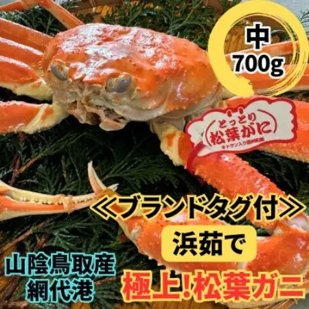 【さかなや新鮮組】鳥取県産 ブランドタグ付き 浜茹で松葉ガニ(中)700g以上 1枚 漁港直送【配送不可地域：離島・北海道・沖縄県・東北・信越、北陸】【1759417】