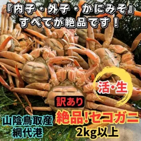 【さかなや新鮮組】鳥取県産 訳あり 活 絶品セコガニ2.0kgセット ご家庭用 漁港直送【配送不可地域：離島・北海道・沖縄県・東北・信越、北陸】【1759657】