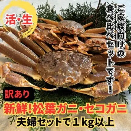 【さかなや新鮮組】鳥取県産 訳あり 活松葉ガニ・セコガニ1.0kgセット ご家庭用 漁港直送【配送不可地域：離島・北海道・沖縄県・東北・信越、北陸】【1759708】