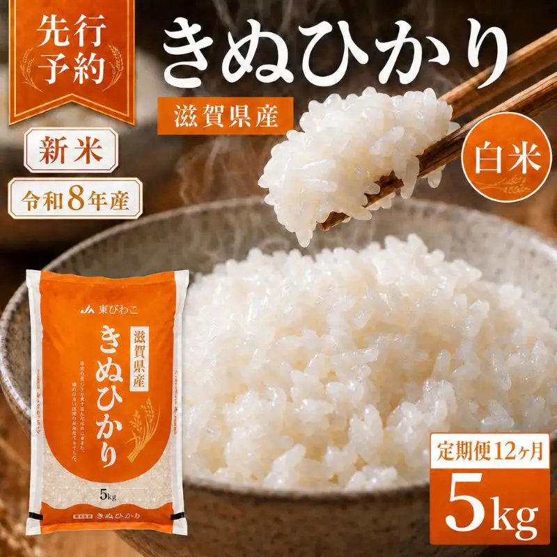 令和8年産】 先行予約 新米 きぬひかり 5kg 12回定期便 令和8年産 定期