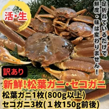 【さかなや新鮮組】鳥取県産 訳あり 活松葉ガニ1枚(800g以上)・セコガニ3枚セット 漁港直送【配送不可地域：離島・北海道・沖縄県・東北・信越、北陸】【1759712】