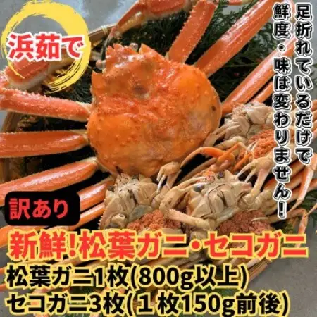 さかなや新鮮組】鳥取県産 訳あり 浜茹で松葉ガニ1枚(800g以上