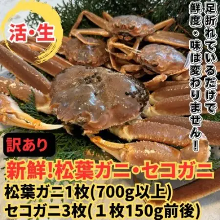 【さかなや新鮮組】鳥取県産 訳あり 活松葉ガニ1枚(700g以上)・セコガニ3枚セット 漁港直送【配送不可地域：離島・北海道・沖縄県・東北・信越、北陸】【1759714】
