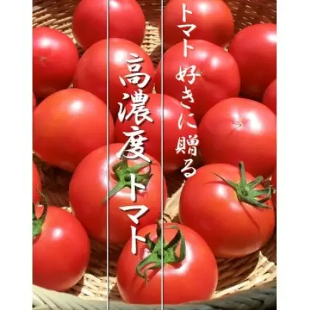 完熟トマト 1.5kg 11玉前後 栽培期間中農薬不使用 岩手県遠野市 遠野もぐもぐカントリー【配送不可地域：離島】【1763111】