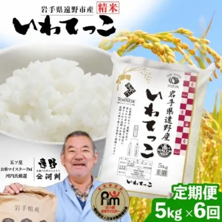 【毎月定期便】岩手県 遠野産 いわてっこ 精米 5kg 河判全6回【4089949】