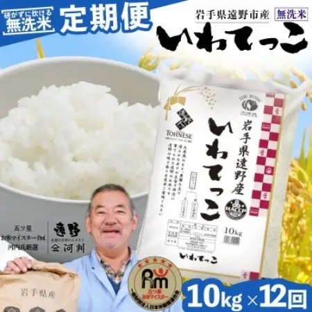 【毎月定期便】〈無洗米〉岩手県 遠野市産 いわてっこ 10kg 【 コメマルシェ 河判 】全12回【4089963】