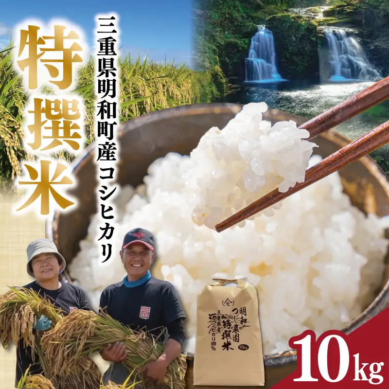 明和町産こしひかり 明和つじ農園特選米 10kg E2342