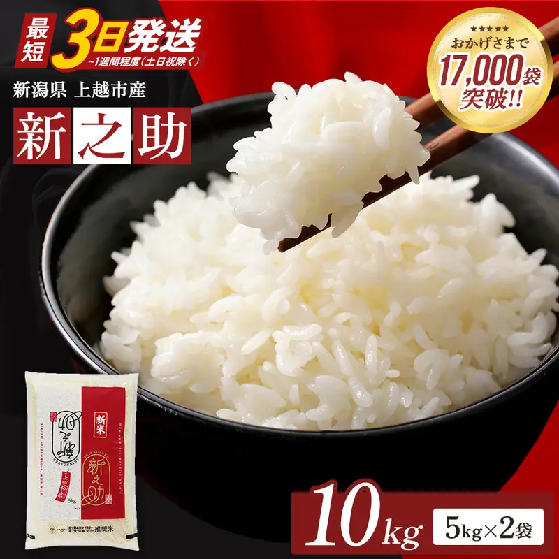 【最短3日発送】新之助 無洗米 上越産 10kg 精米 新之助