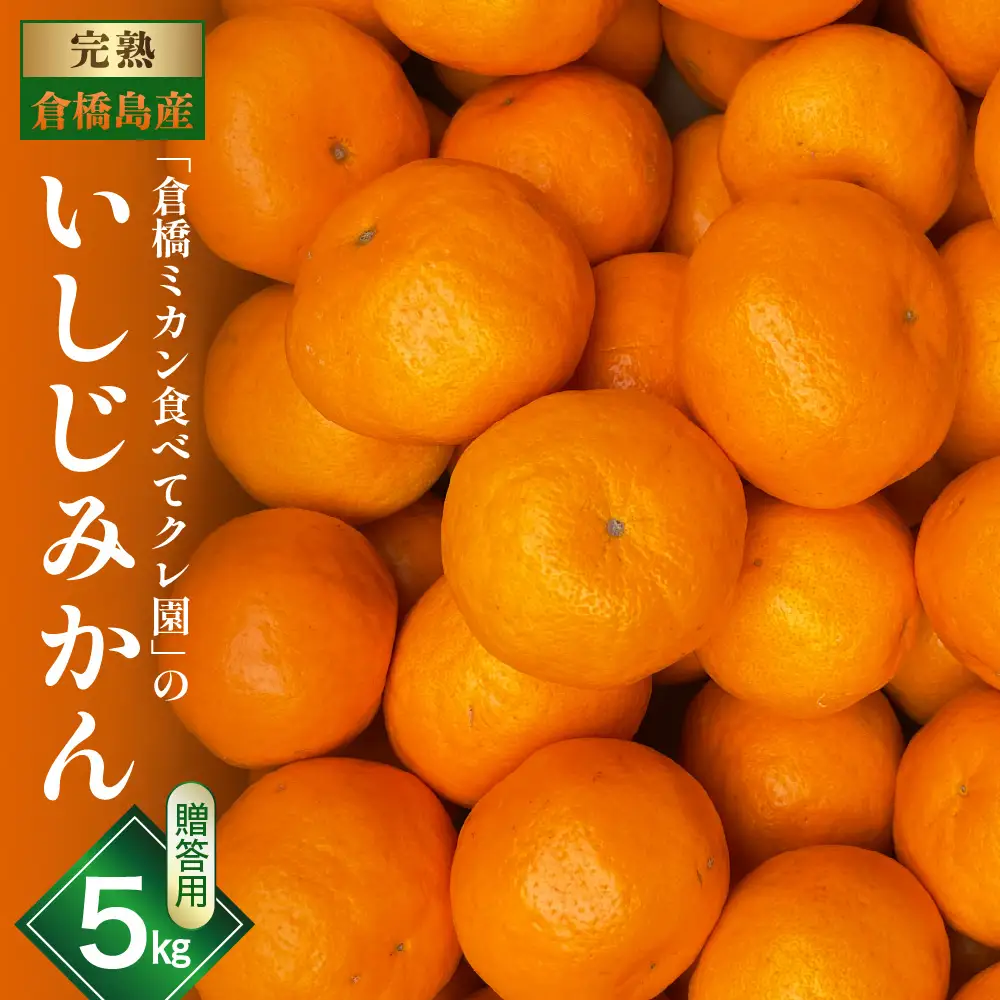 【先行受付】【2026年12月～発送】 倉橋ミカン食べてクレ園 いしじみかん 約5kg 贈答用
