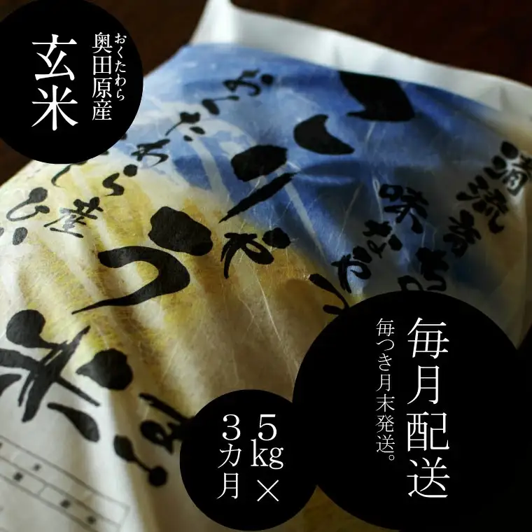 安来のお米【定期便】 こりゃう米（まい）玄米 5kg×3回（毎月）令和7年産 コシヒカリ