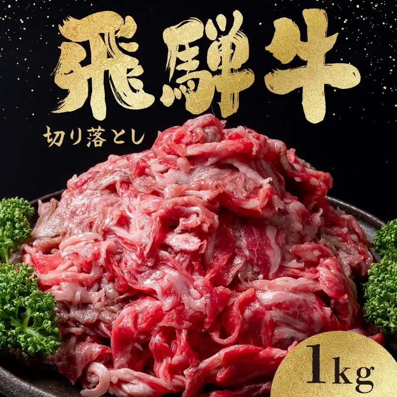 「肉の芸術品」飛騨牛切り落とし（モモ、肩、バラ）1kg（250g×4）【用途は様々！焼肉、BBQ、すき焼き、煮物、牛丼、炒め物など】 F4N-2858