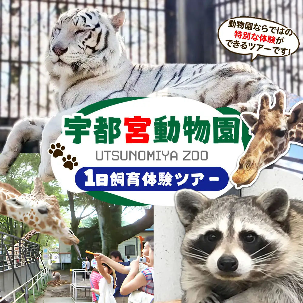1日飼育体験（獣医師体験含む）ツアー | 宇都宮動物園 動物園 どうぶつえん 獣医師体験 栃木県 宇都宮市
