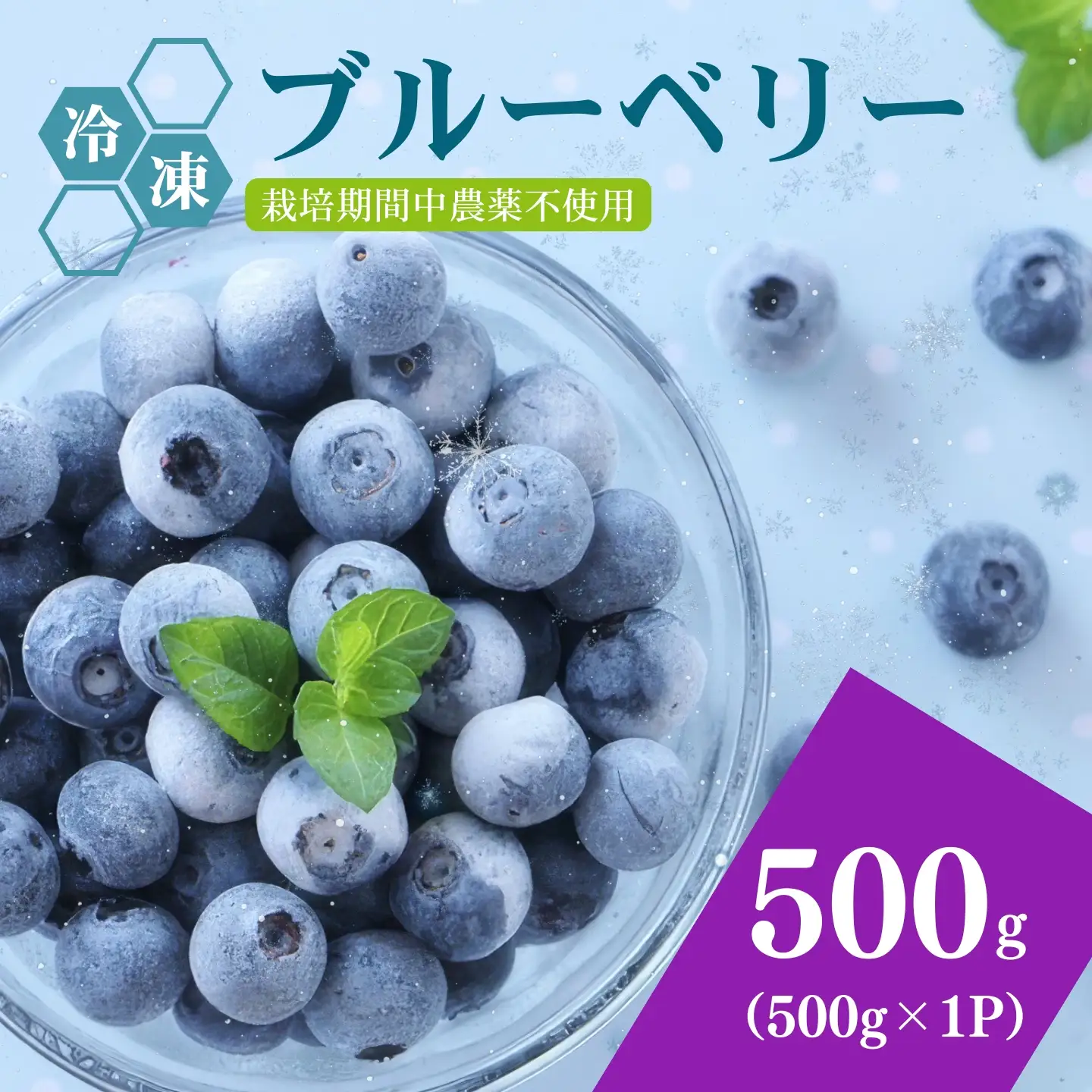 [A339-04] 冷凍ブルーベリー500g（500g×1パック）2026年シルクファーム産