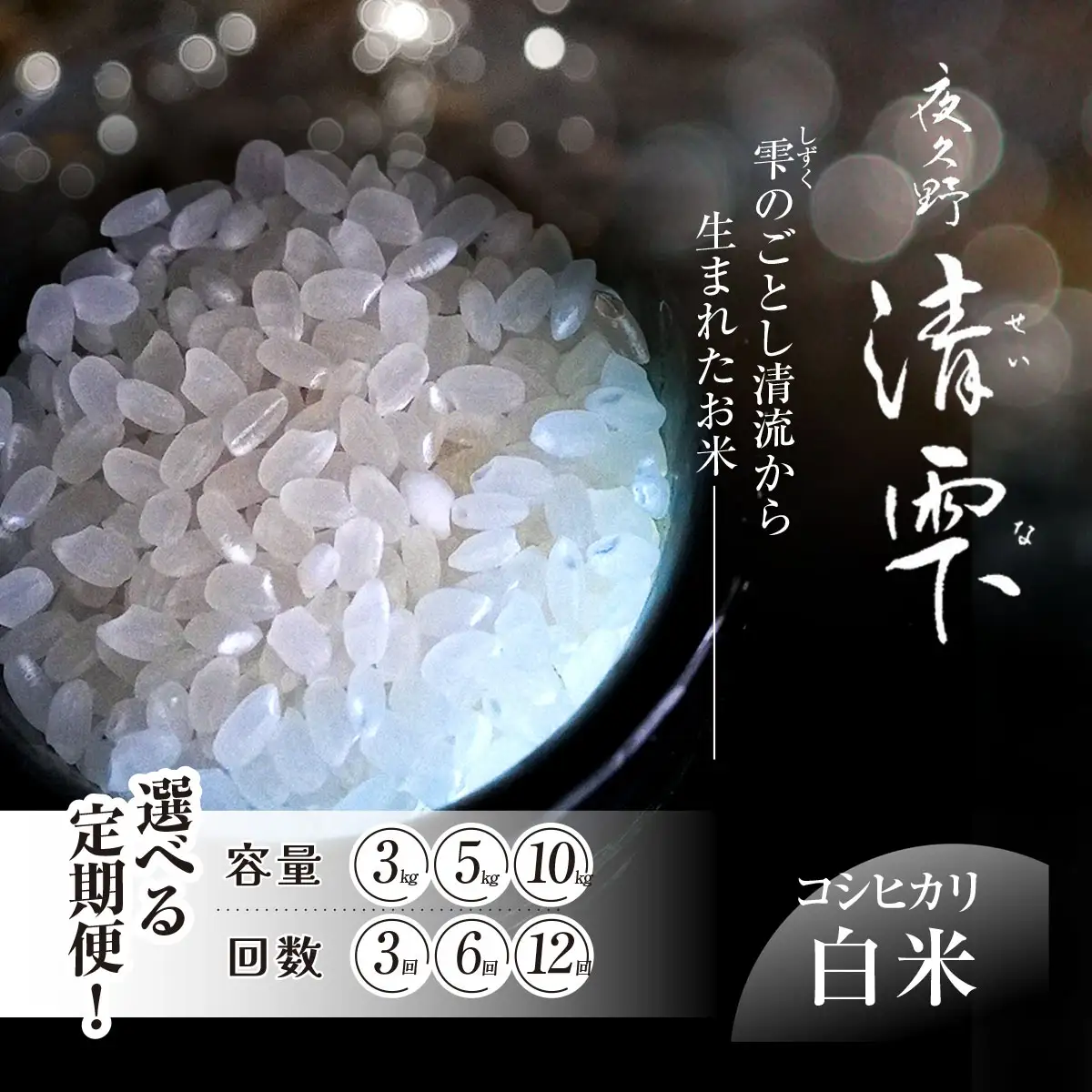 コシヒカリ 白米 令和8年産 10kg×6回  京都夜久野産 清雫(せいな) 