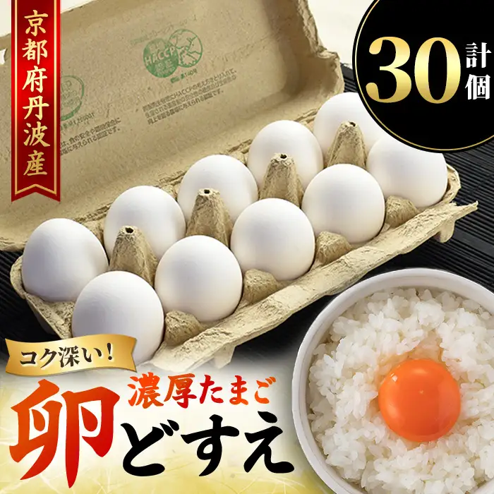 たまご 卵 卵どすえ 計30個 炭火串焼 灯志