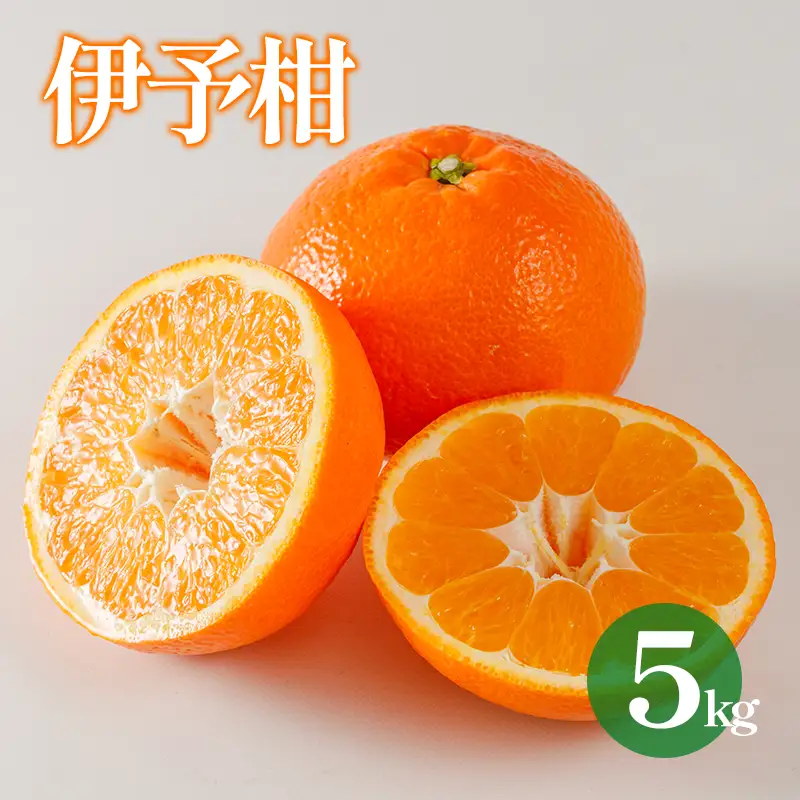 【2027年1月下旬から順次発送 】【伊予柑】 約5kg 伊予柑 愛媛県松山市【DRM005】