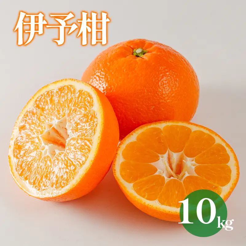 【2027年1月下旬から順次発送 】【伊予柑】 約10kg 伊予柑 愛媛県松山市【DRM006】