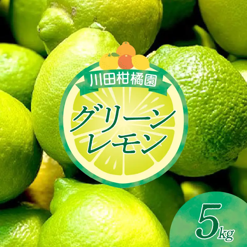 先行受付 2026年11月上旬～発送 広島県産 グリーンレモン5kg