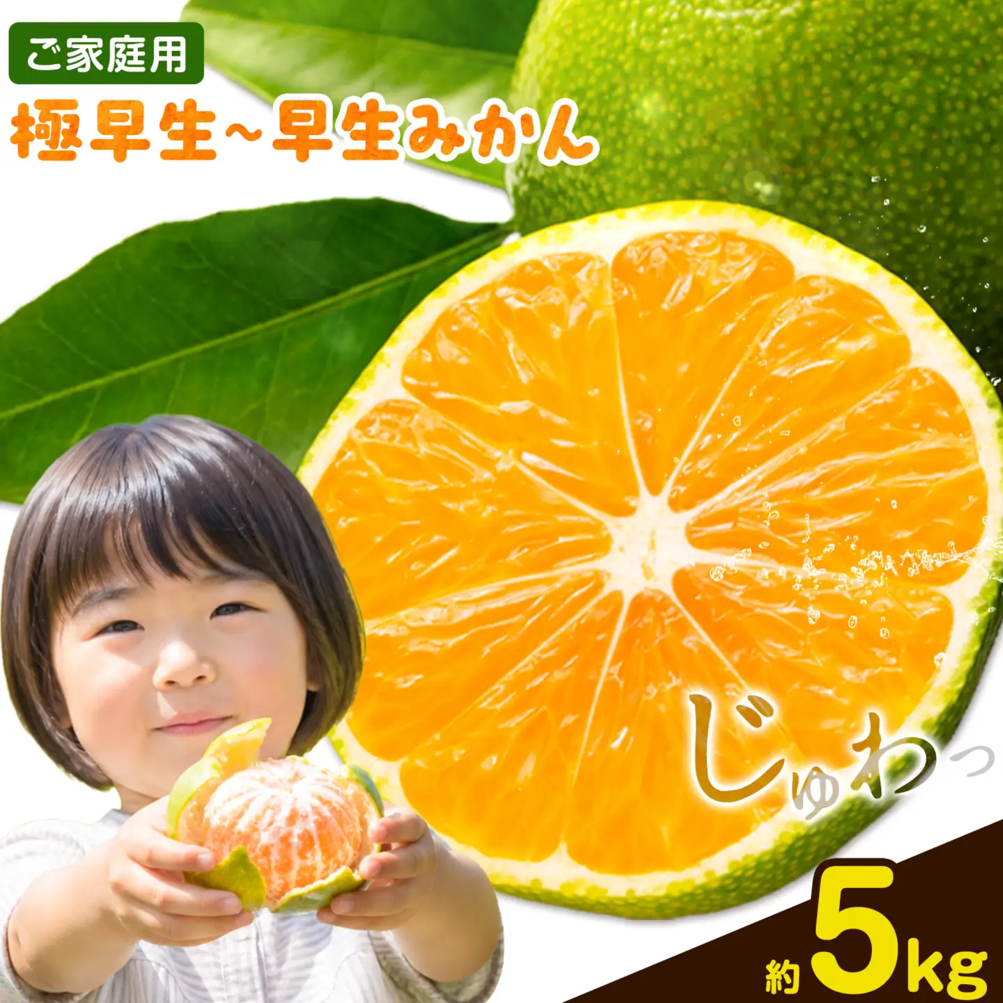ご家庭用 早生みかん ご家庭用 みかん 約5kg