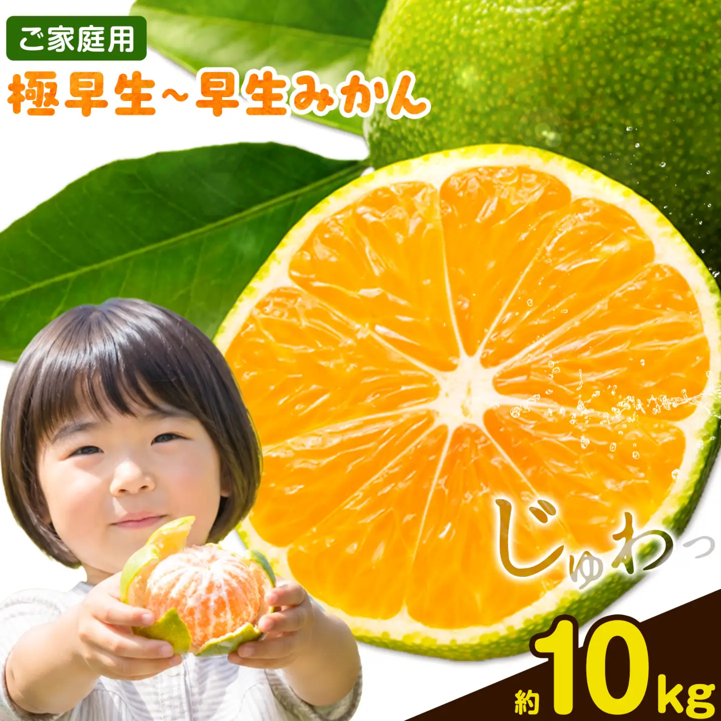 ご家庭用 早生みかん ご家庭用 みかん 約10kg
