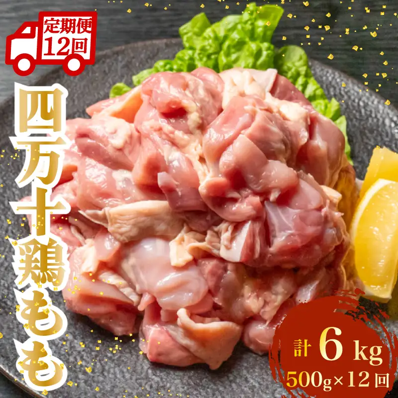 【定期便】 鶏もも肉 計6kg（500g×12ヶ月連続お届け) 四万十鶏［(H)1793］