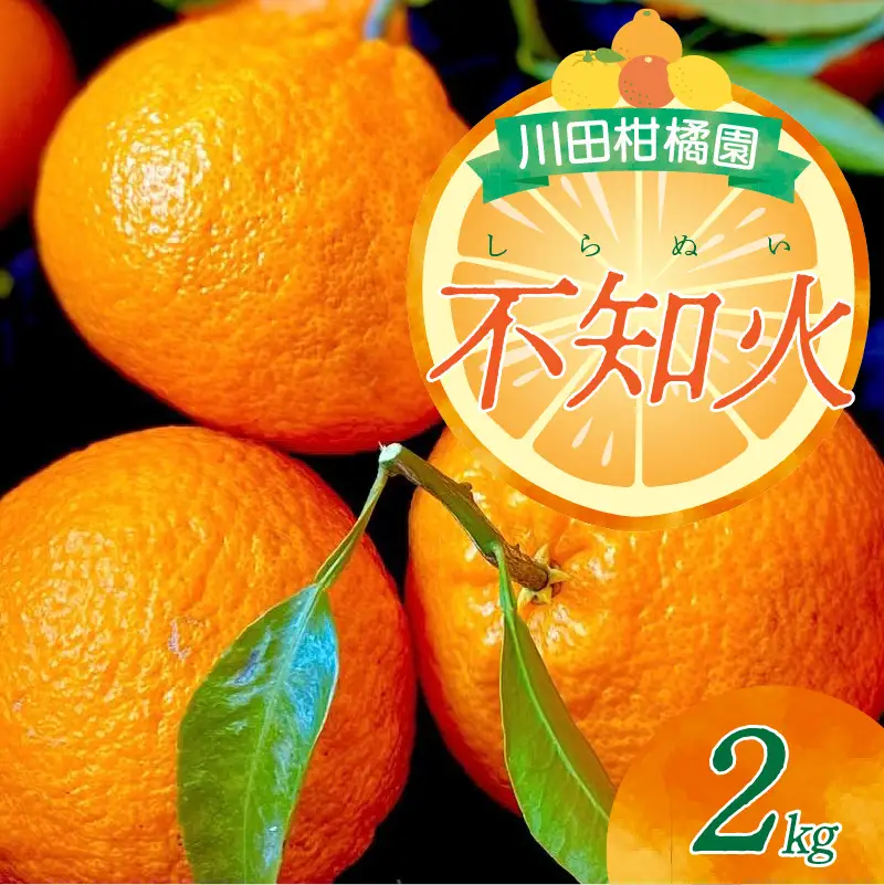 先行受付2027年2月下旬～発送 広島県産大長柑橘 「不知火しらぬい」2kg
