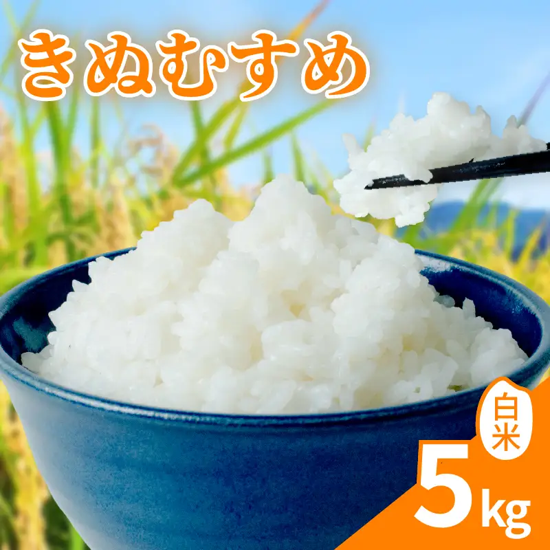 【新米】 令和8年産 先行予約 「きぬむすめ」 5kg ｜ 新米