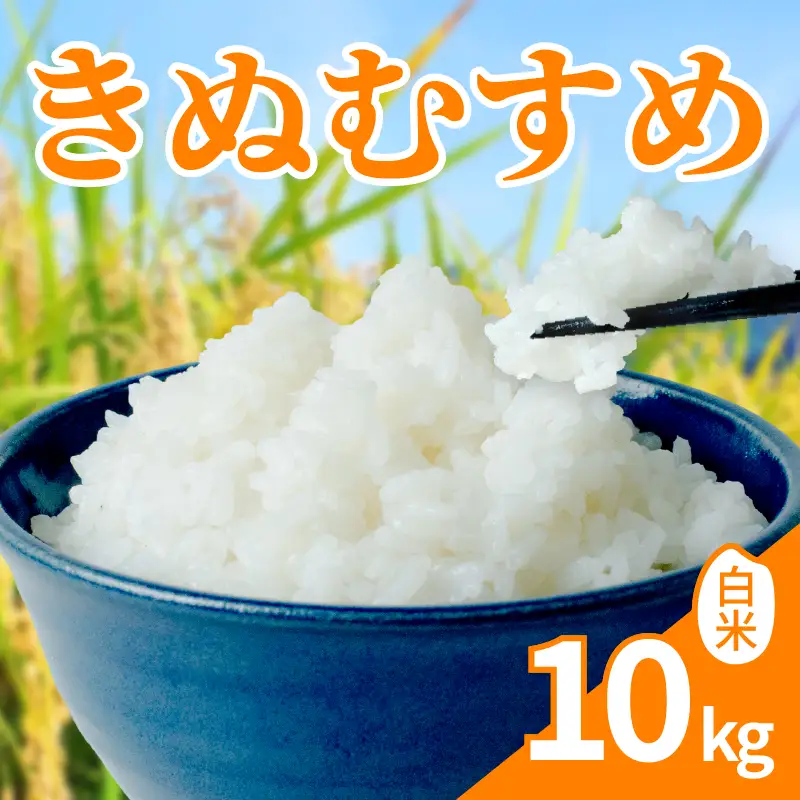 【新米】 令和8年産 「きぬむすめ」 10kg ｜ 新米