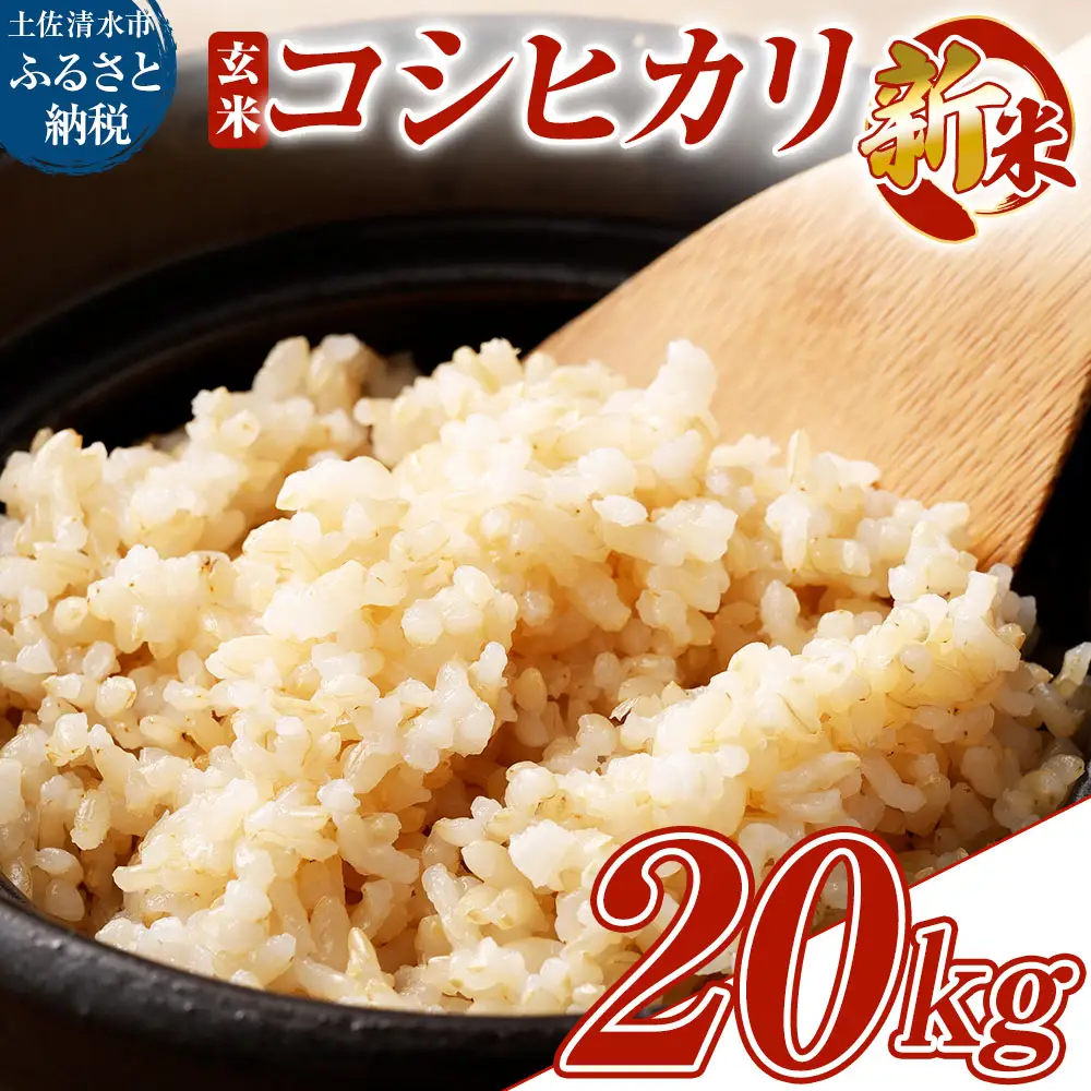 令和8年産 新米 コシヒカリ 玄米20kg（10kg×2袋）お米 健康食品 20000g 20キロ おこめ 米 ごはん こしひかり ブランド米 常温 国産 高知県 土佐清水市【R01737】